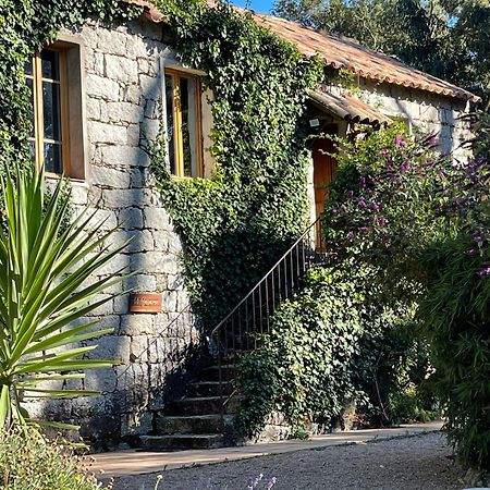 Chambres D'Hotes Barraconu Porto-Vecchio  Buitenkant foto