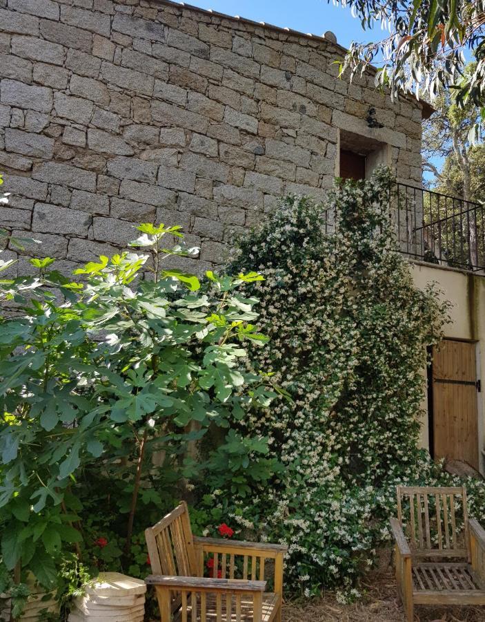 Chambres D'Hotes Barraconu Porto-Vecchio  Buitenkant foto